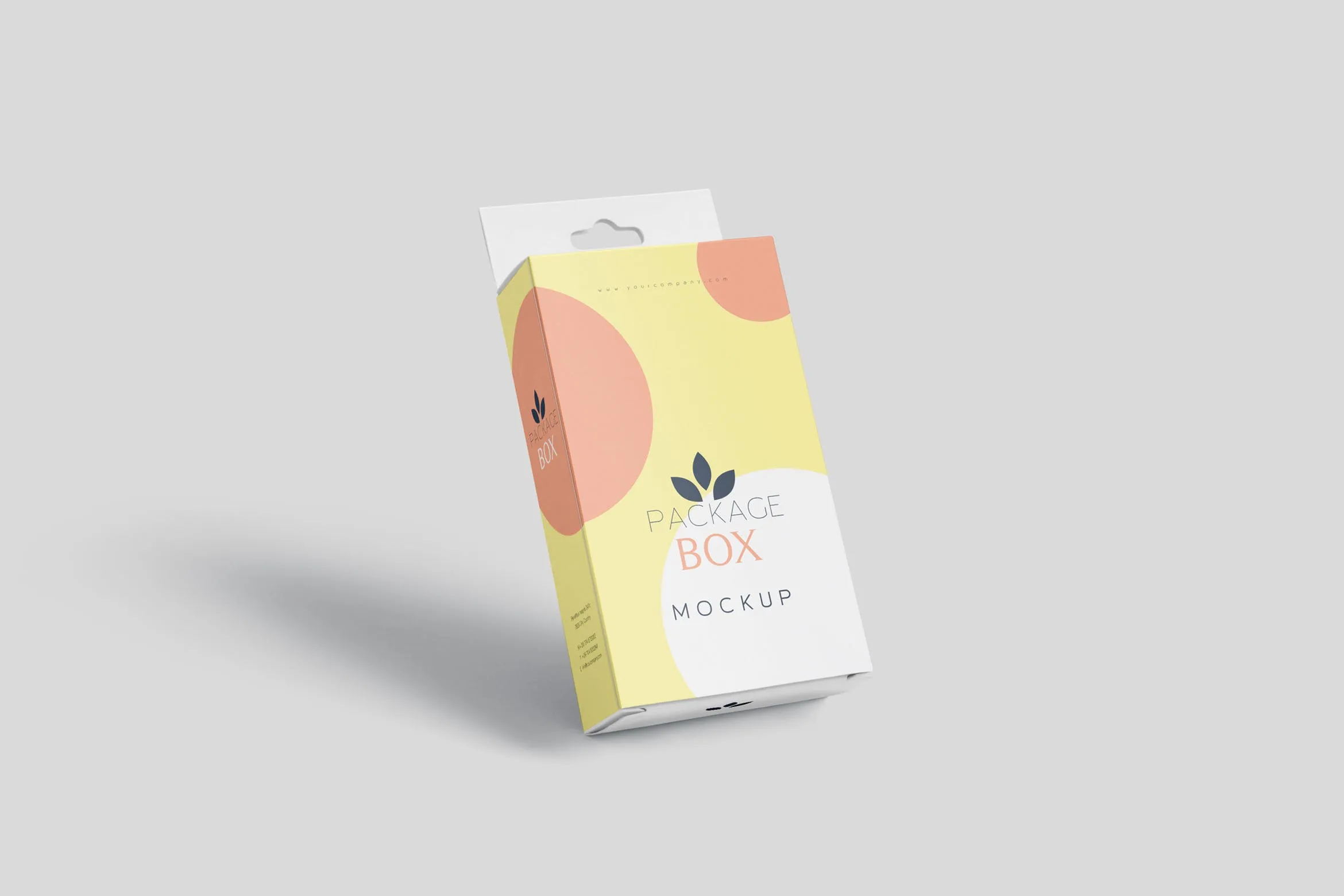 带挂耳设计扁平矩形产品包装盒效果图像素设计精选 Package Box Mockup Set- Flat Rectangle with Hanger