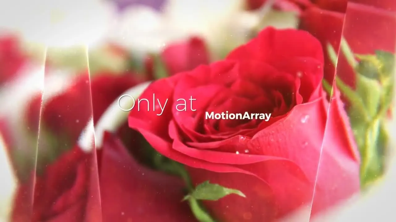 精美的玻璃幻灯片像素设计精选AE模板