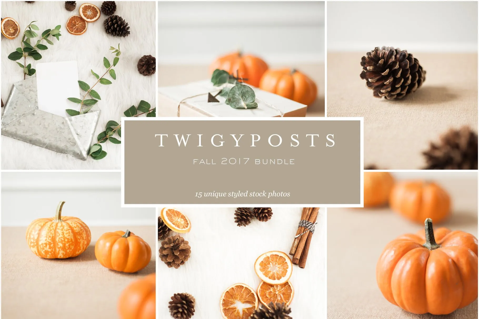 秋季南瓜场景样机模板 Fall Stock Photo Bundle