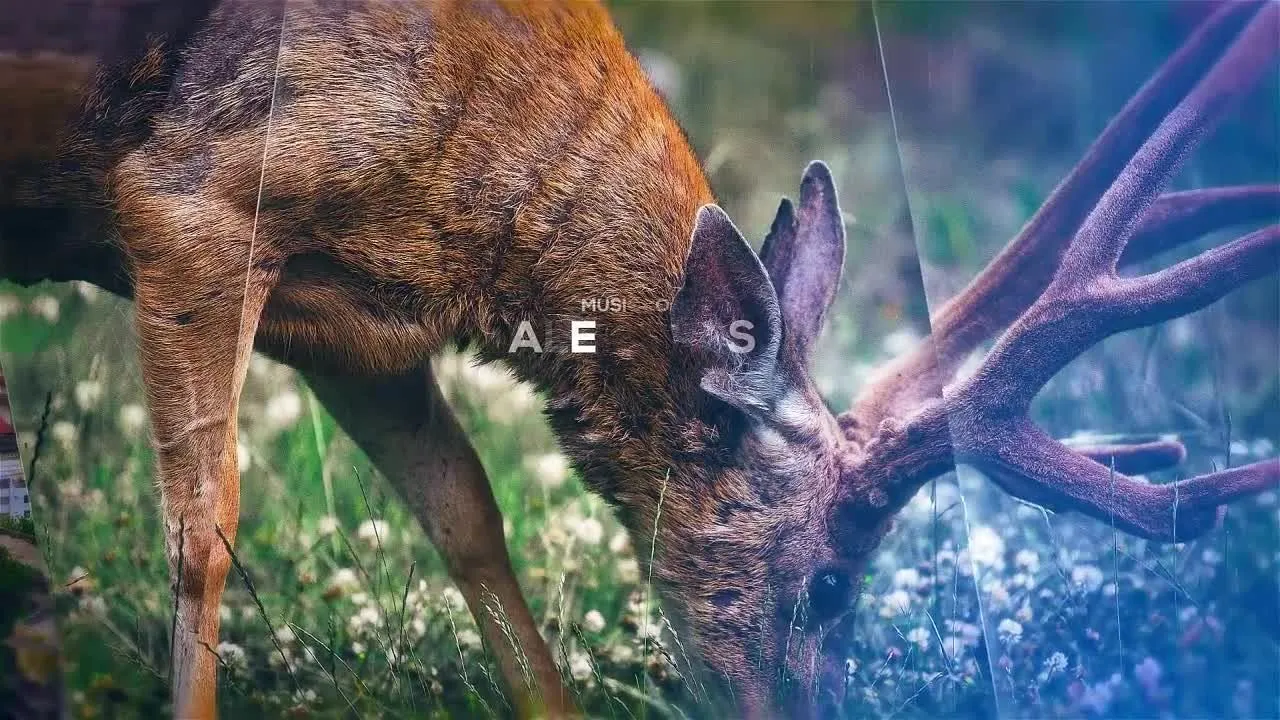 电影视差幻灯片预告片像素设计精选AE模板