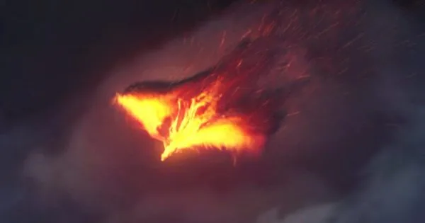 火凤凰粒子特效Logo演示像素设计精选AE模板 The Pheonix | Fire Reveal