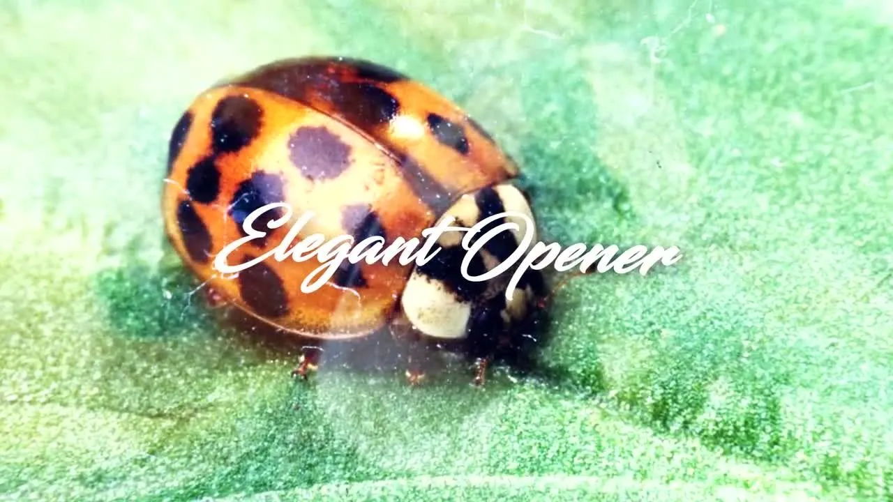 优雅的视频或照片转场像素设计精选AE模板