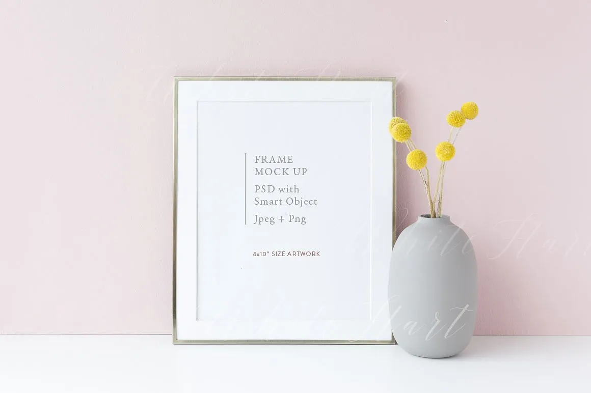 8#215;10银色金属框架画框模板 PSD/PNG 8#215;10 golden frame mock up#8211; PSD/PNG