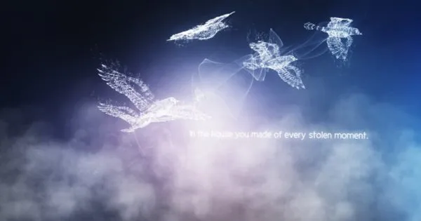 美丽鸟类飞行粒子特效视频AE素材 Concept of Freedom