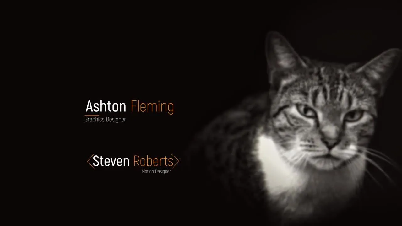 14个优雅下三分之一动画像素设计精选AE模板