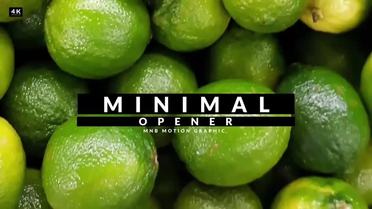 时尚的最小照片幻灯片像素设计精选AE模板