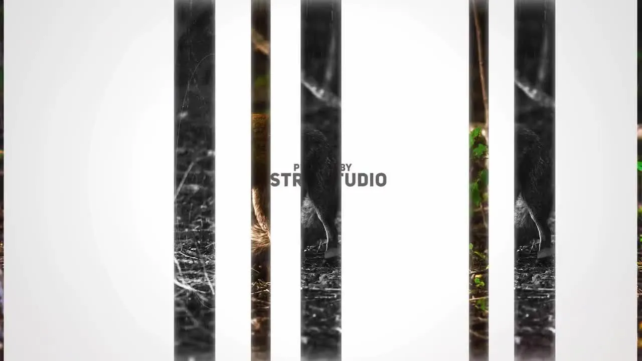 华丽的动画效果照片幻灯片像素设计精选AE模板