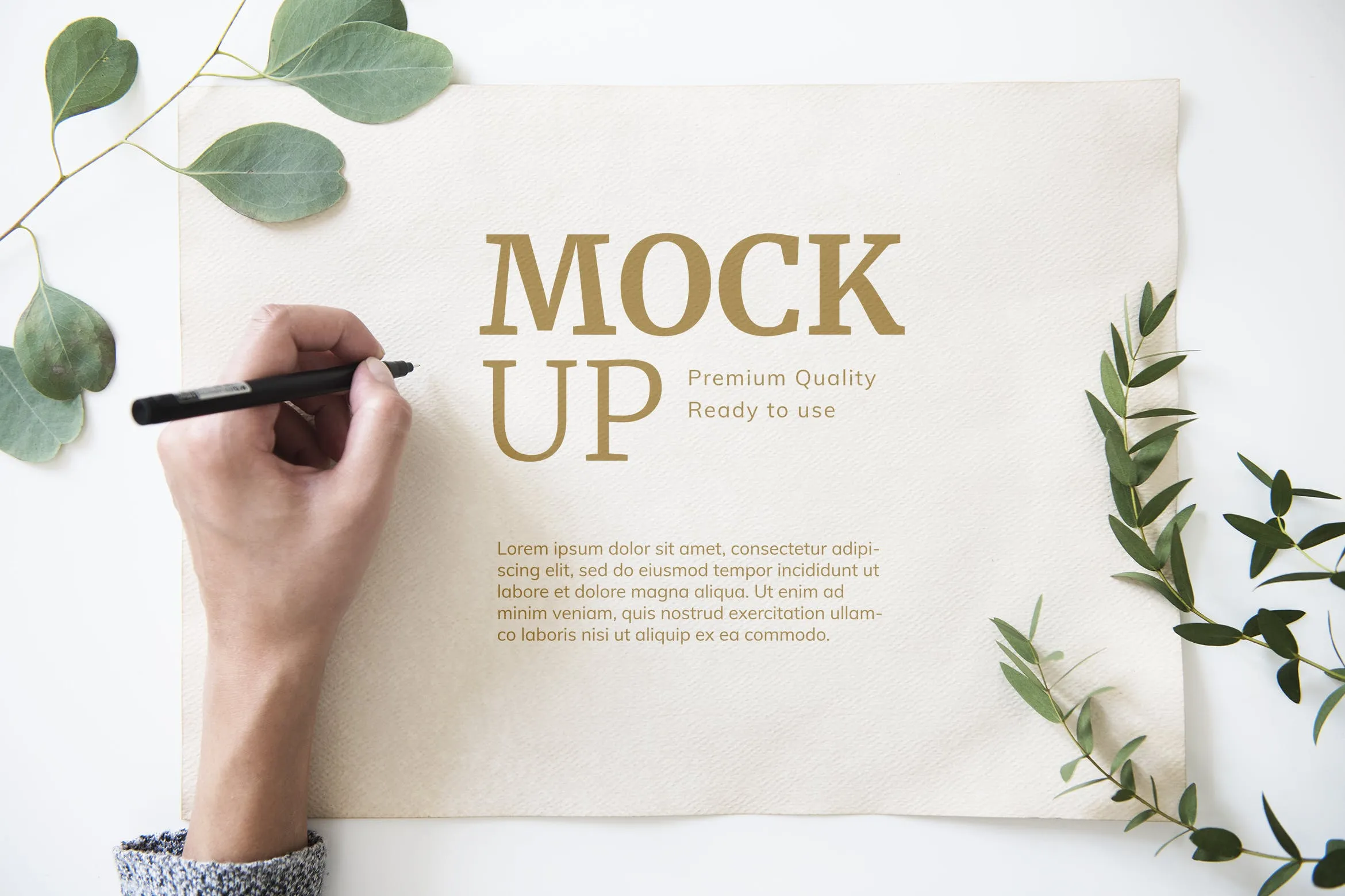 手绘插画/书法预览样机模板 Paper mockup