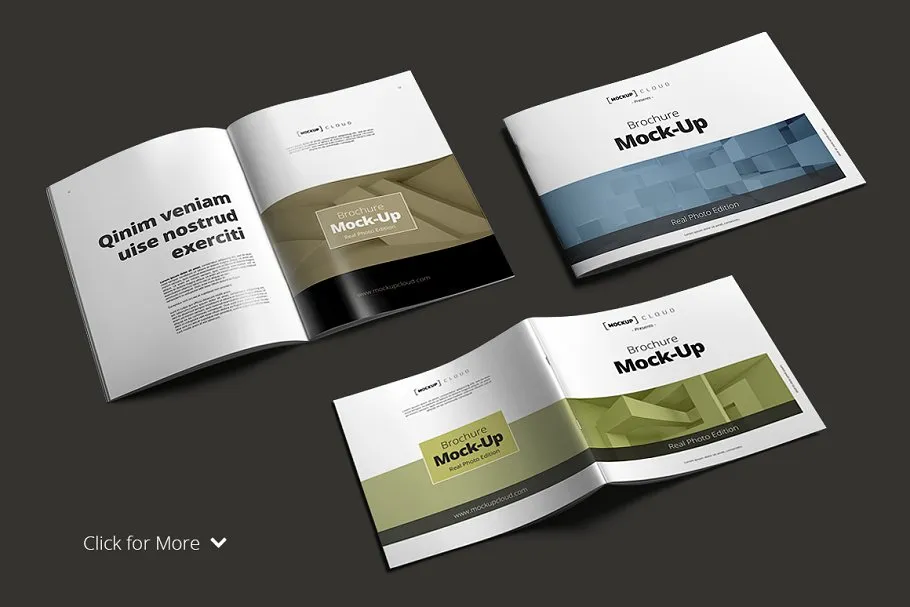 36种视角宣传小册子样机 Brochure Mock-Up Bundle