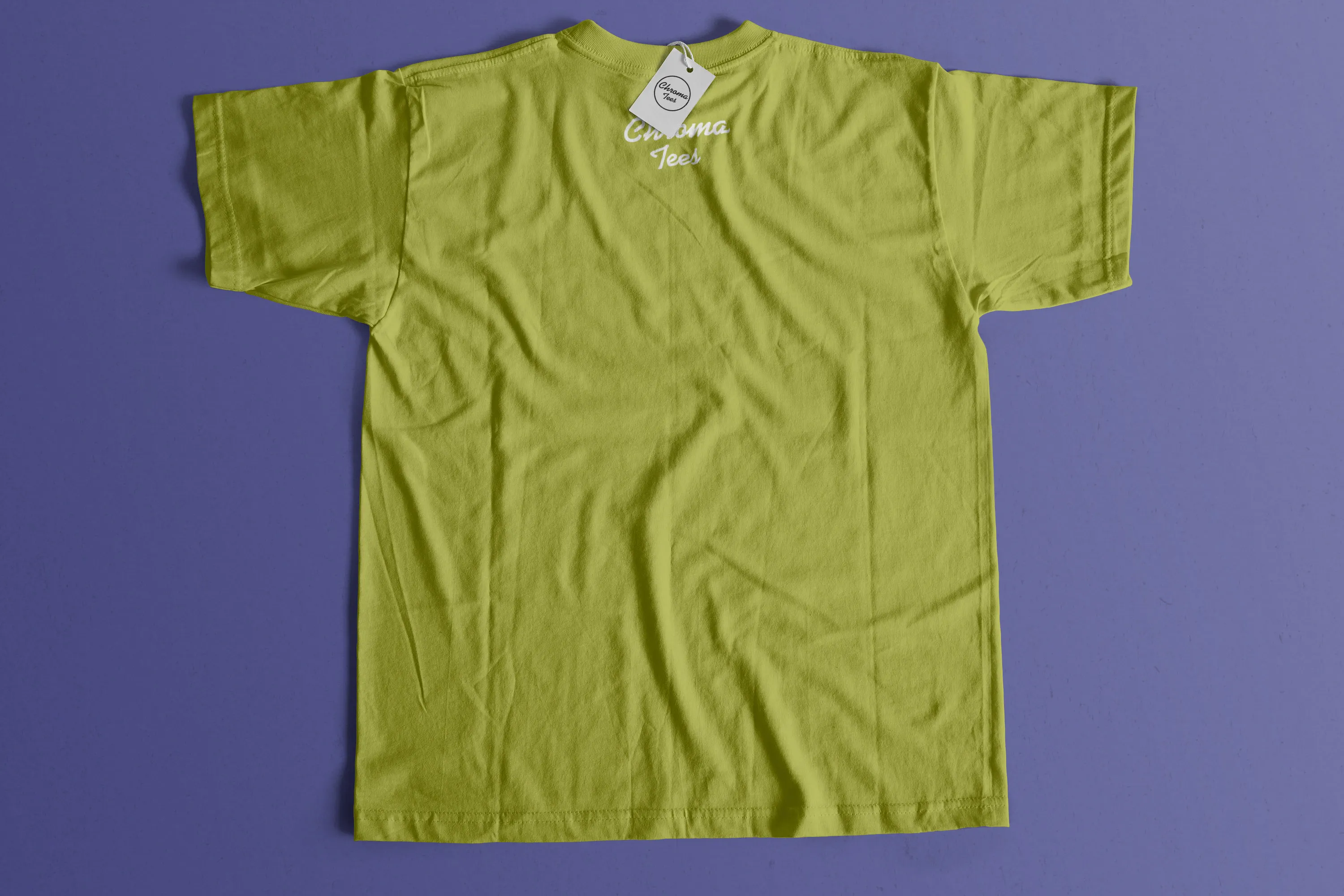 T恤设计背部效果图样机模板01 Back Tshirt Mockup 01