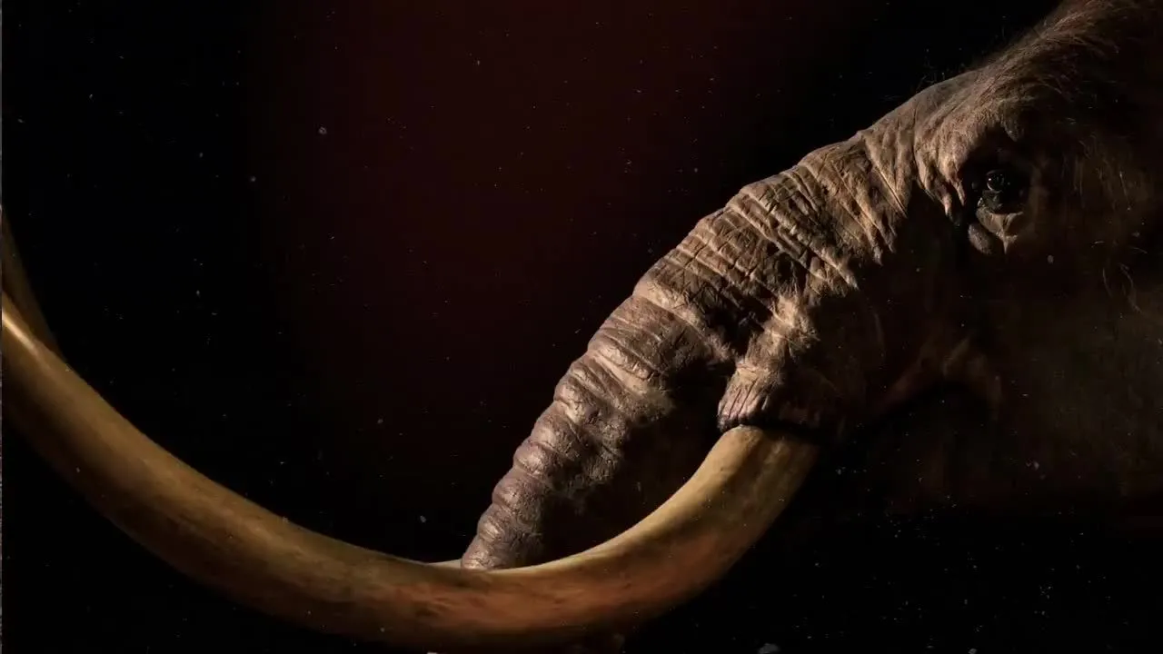 闪回动画开场像素设计精选AE模板