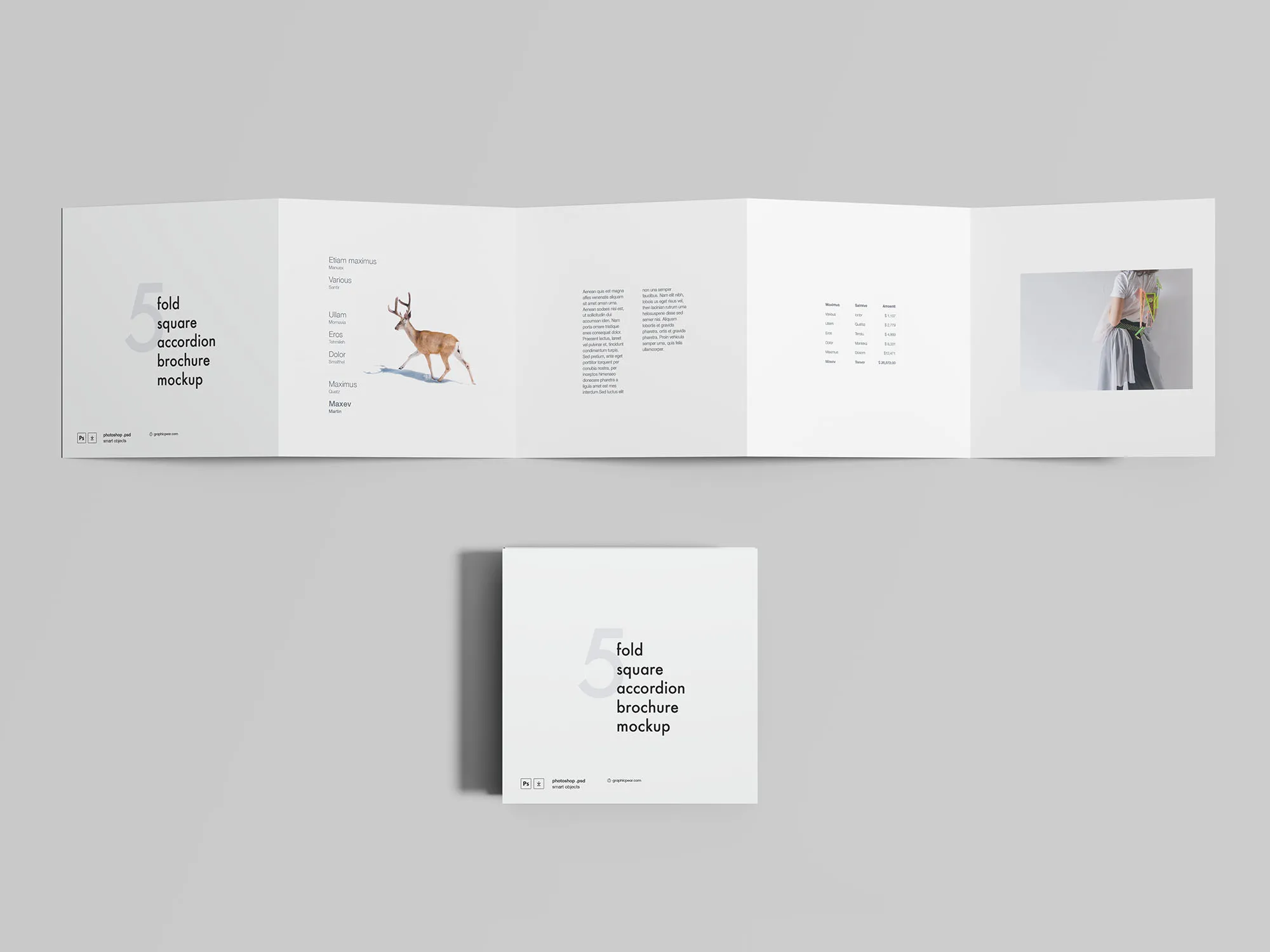 5折方形手风琴折叠式宣传册设计效果图样机 5 Fold Square Accordion Brochure Mockup