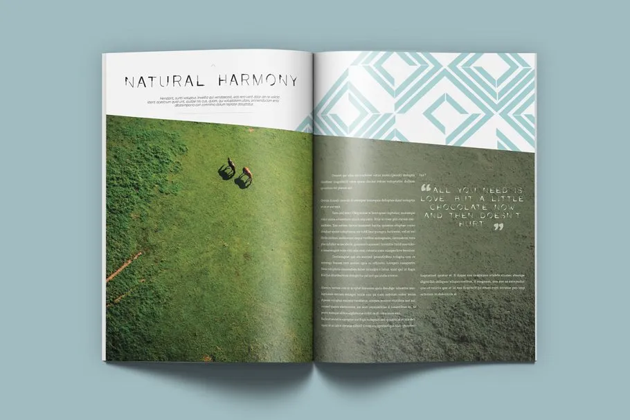 Lemo特效杂志模板 Lemo Magazine插图(11)