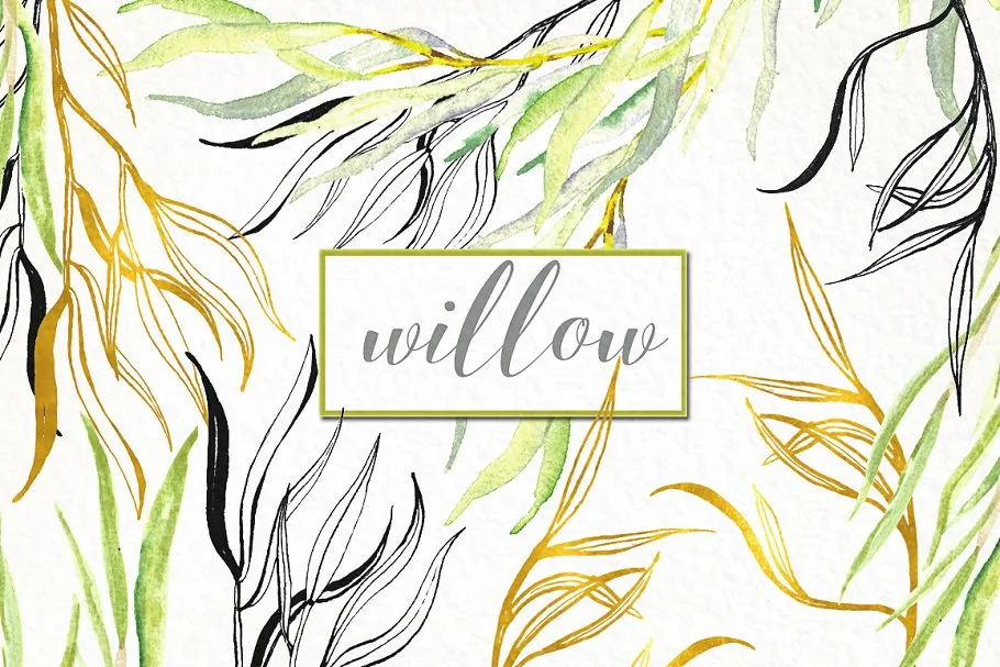 柳枝水彩剪贴画 Willow branches watercolor clipart插图(4)