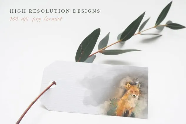 质朴的动物水彩手绘插图Vol.1 Rustic Watercolor Animals – Volume 1插图(2)