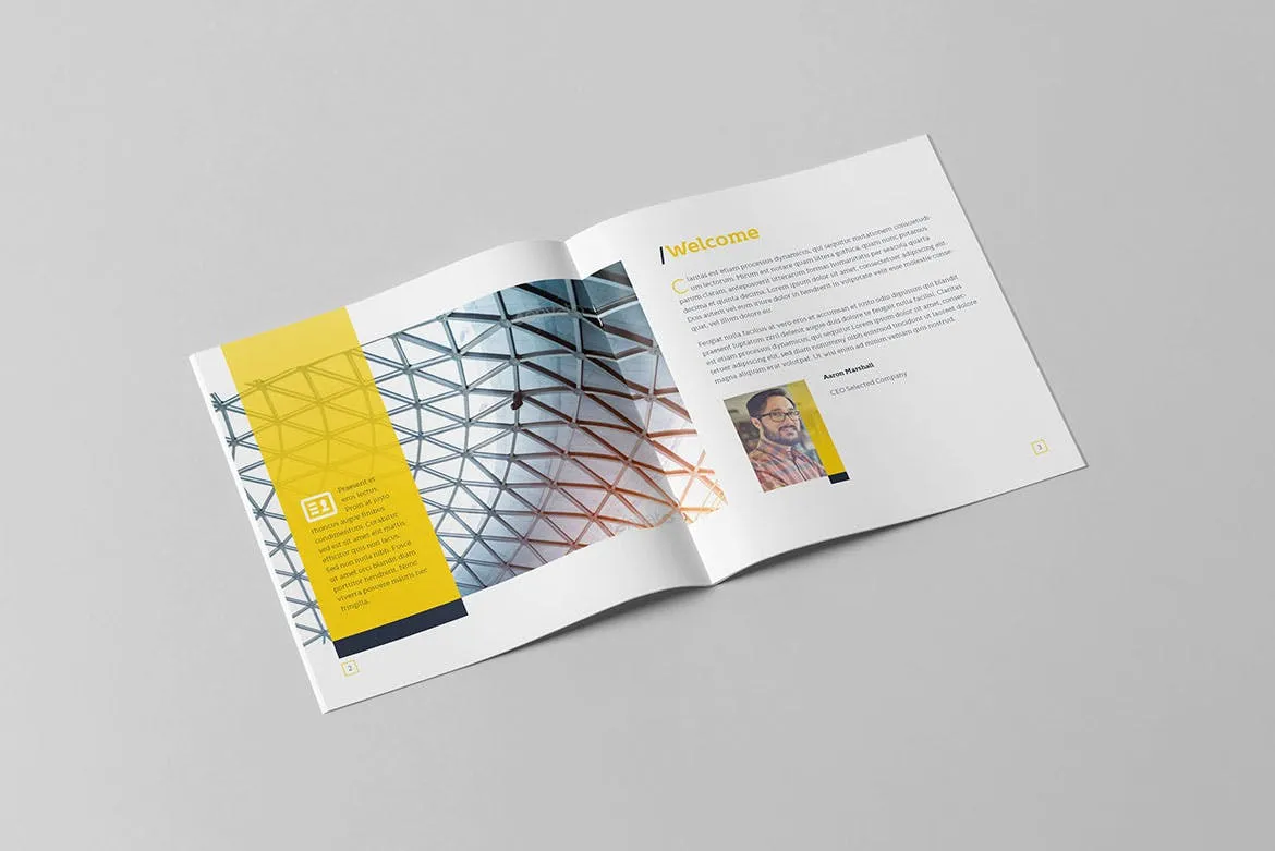 年度商业/行业市场分析报告设计模板v2 Annual Report Square Template 2插图(1)