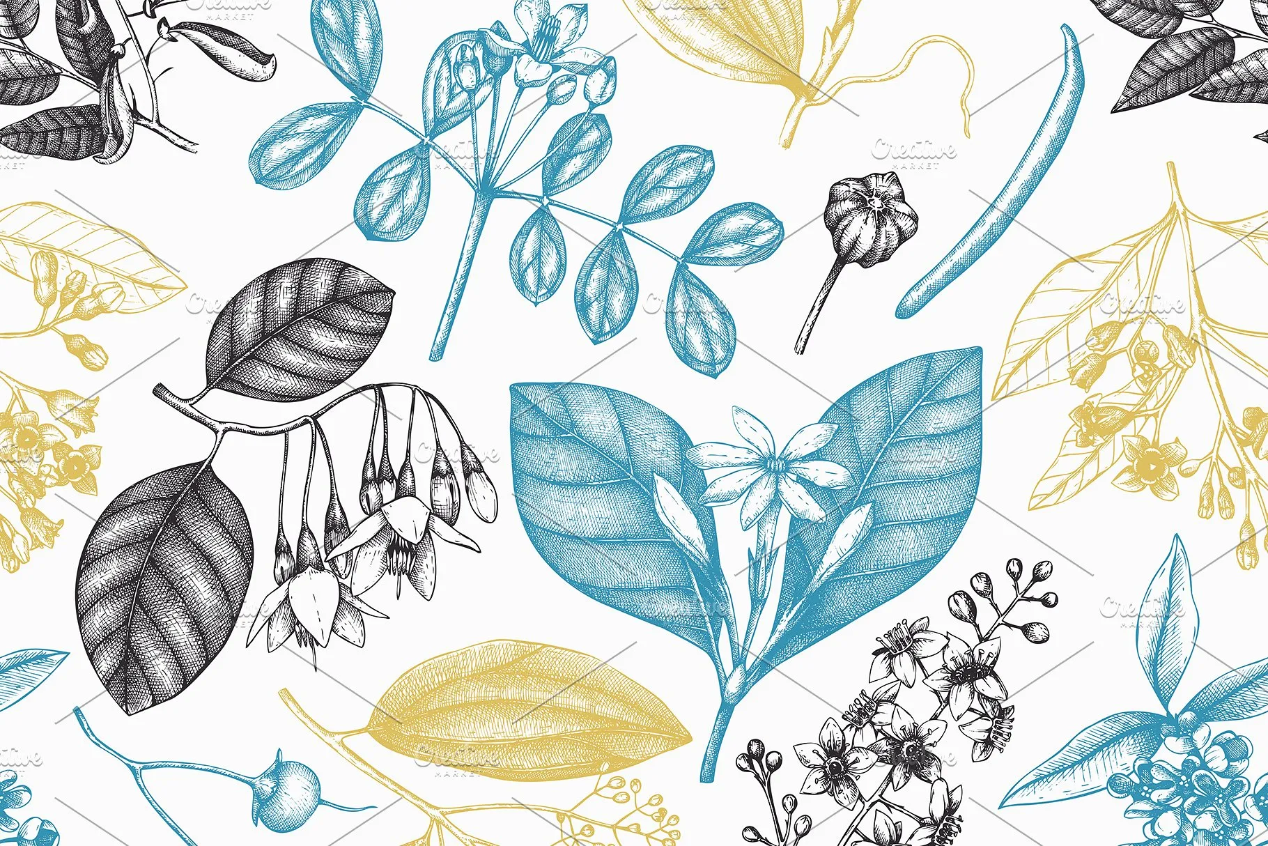 香料和化妆品成分水墨手绘插图集V.2 Perfumery & Cosmetic Ingredients v.2插图(7)