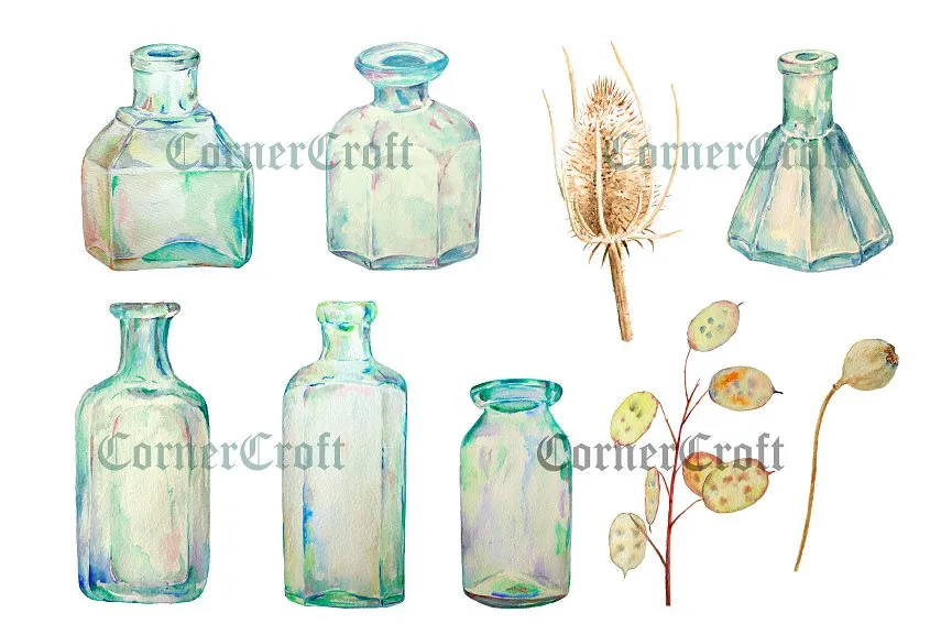 复古手绘葡萄酒瓶水彩剪贴图像素材 Watercolor Vintage Bottle Dry Flower