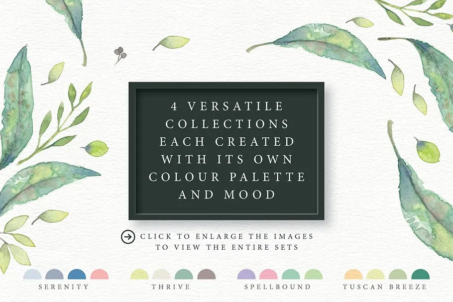 四合一优雅水彩剪贴画集 4in1 Elegant Watercolour collections插图(1)