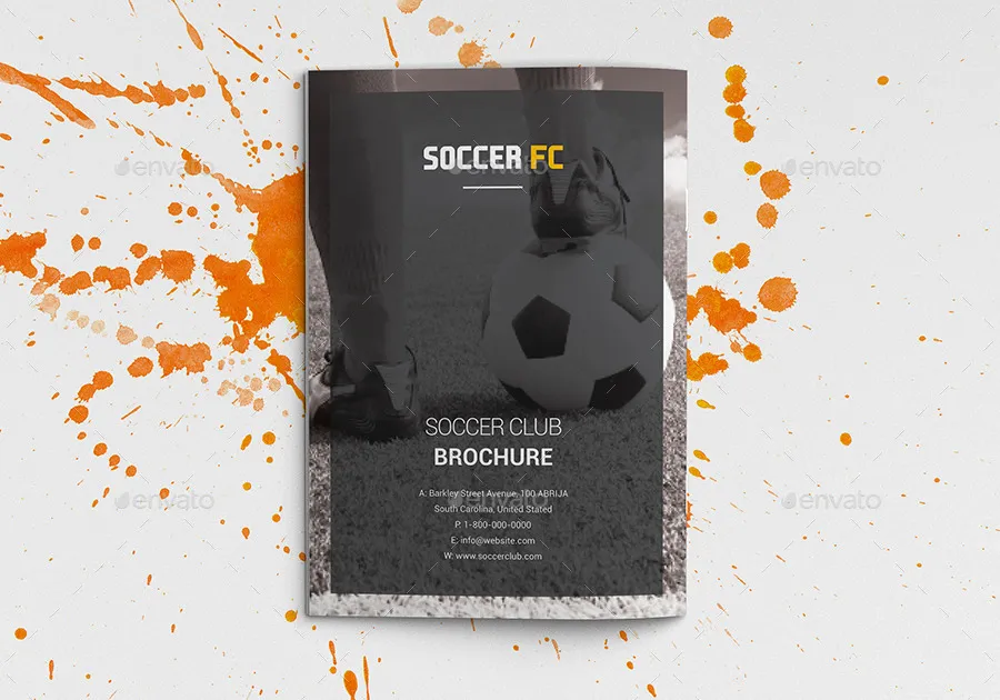 多用途足球俱乐部特色小册子插图(17)