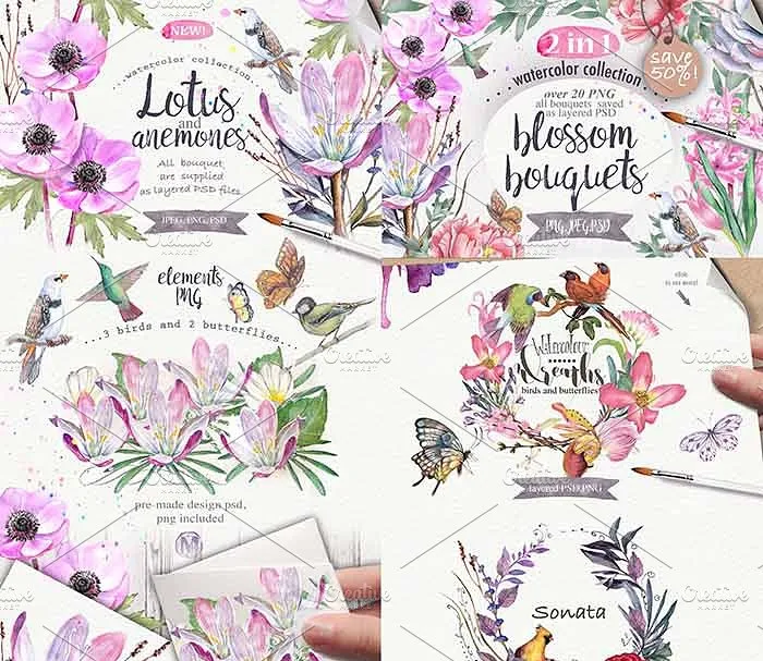 极力推荐：超级水彩元素设计素材包[2.5GB] Wildflowers pack 75 PNG插图(18)