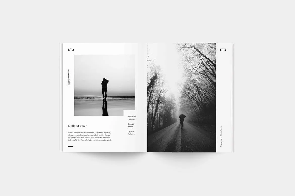 高品质的高级高端摄影师摄影杂志楼书画册设计模板（indd）插图(9)