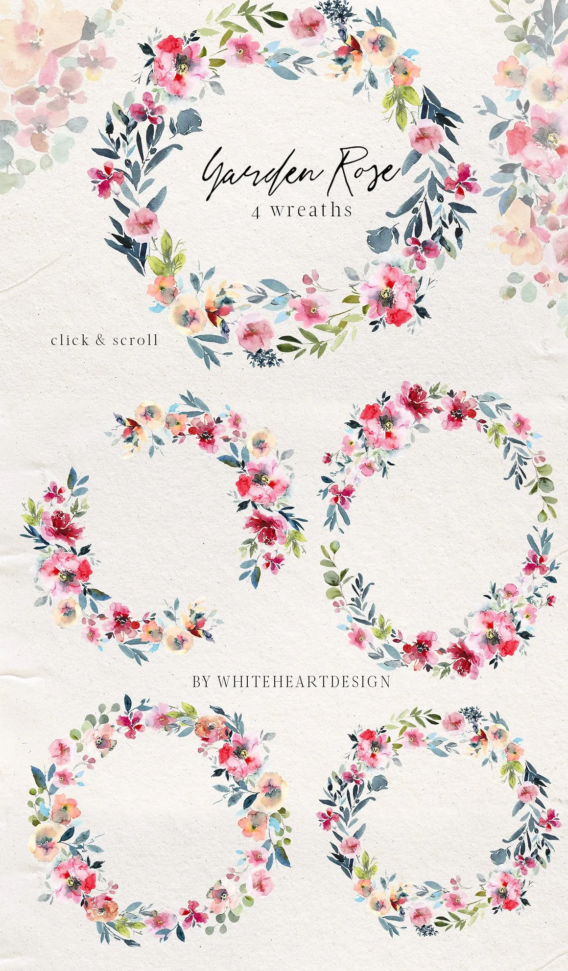 花园玫瑰水彩花卉套装 Garden Rose Watercolor Floral Kit插图(4)