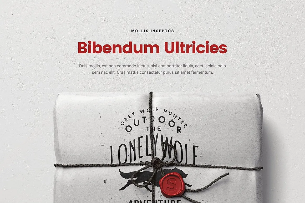 超级场景样机素材包 Scene Generator Mayolla插图(7)