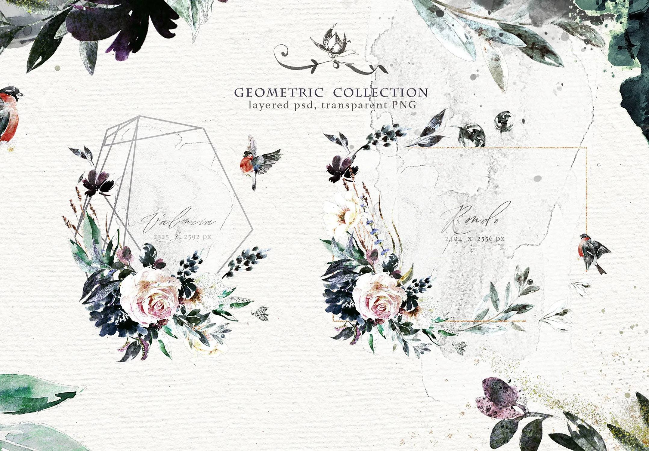 高品质梦幻水彩矢量插画素材大合集[1.88GB] Fantasy illustrations “Once in the dream”插图(2)