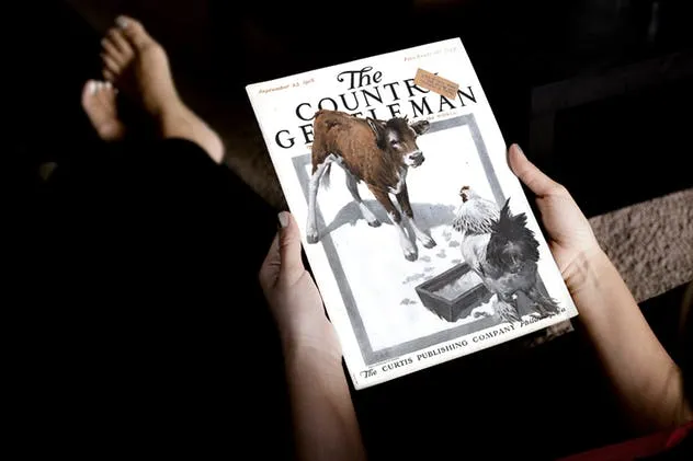 多用途杂志目录宣传册样机 Brochure Magazine Booklet Catalog Mock-Up插图(5)