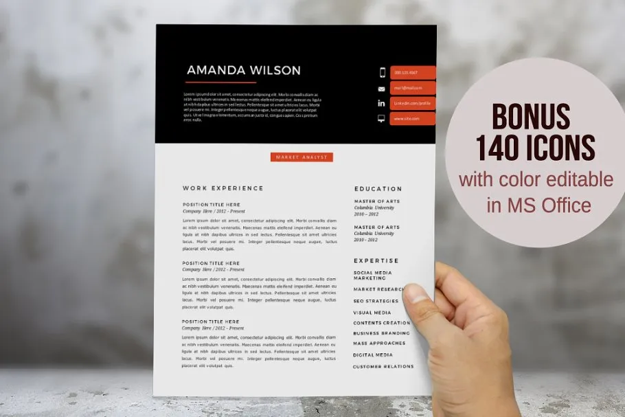 二合一经典排版简历模板 Elegant 2 in 1 Word resume template