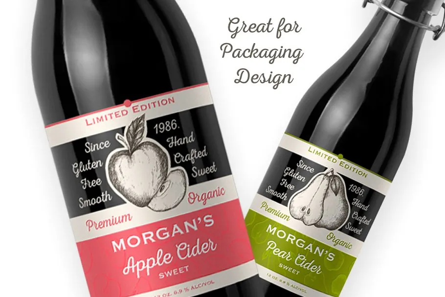 粗略风水果素描插图合集 Fruits Illustrations插图(4)