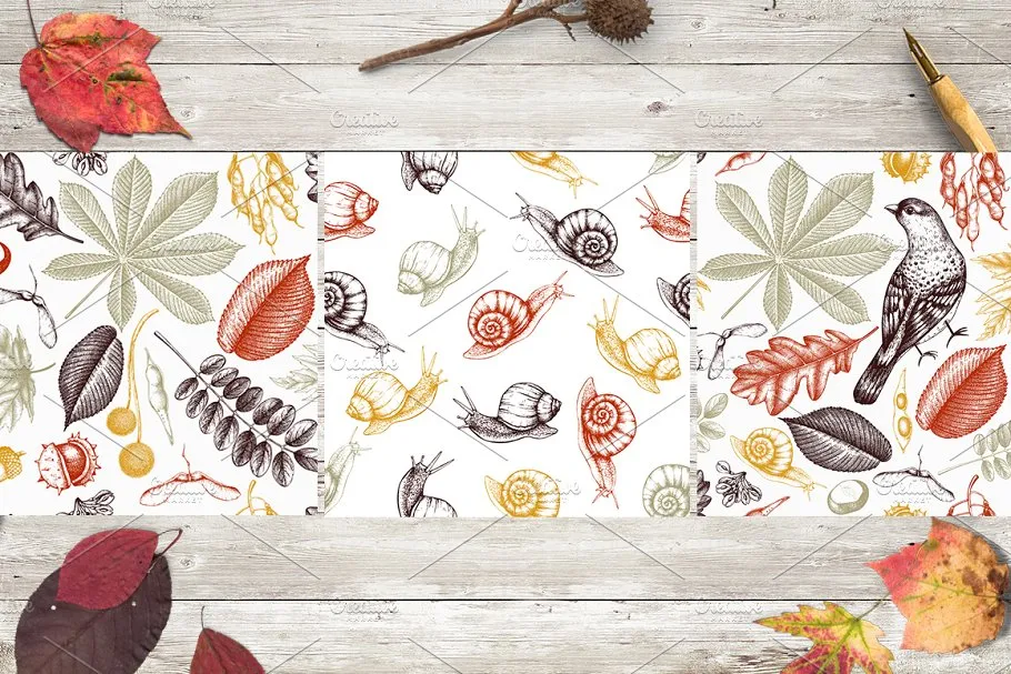 秋天树叶&种子矢量图形 Vector Autumn Leaves & Seeds Set插图(8)