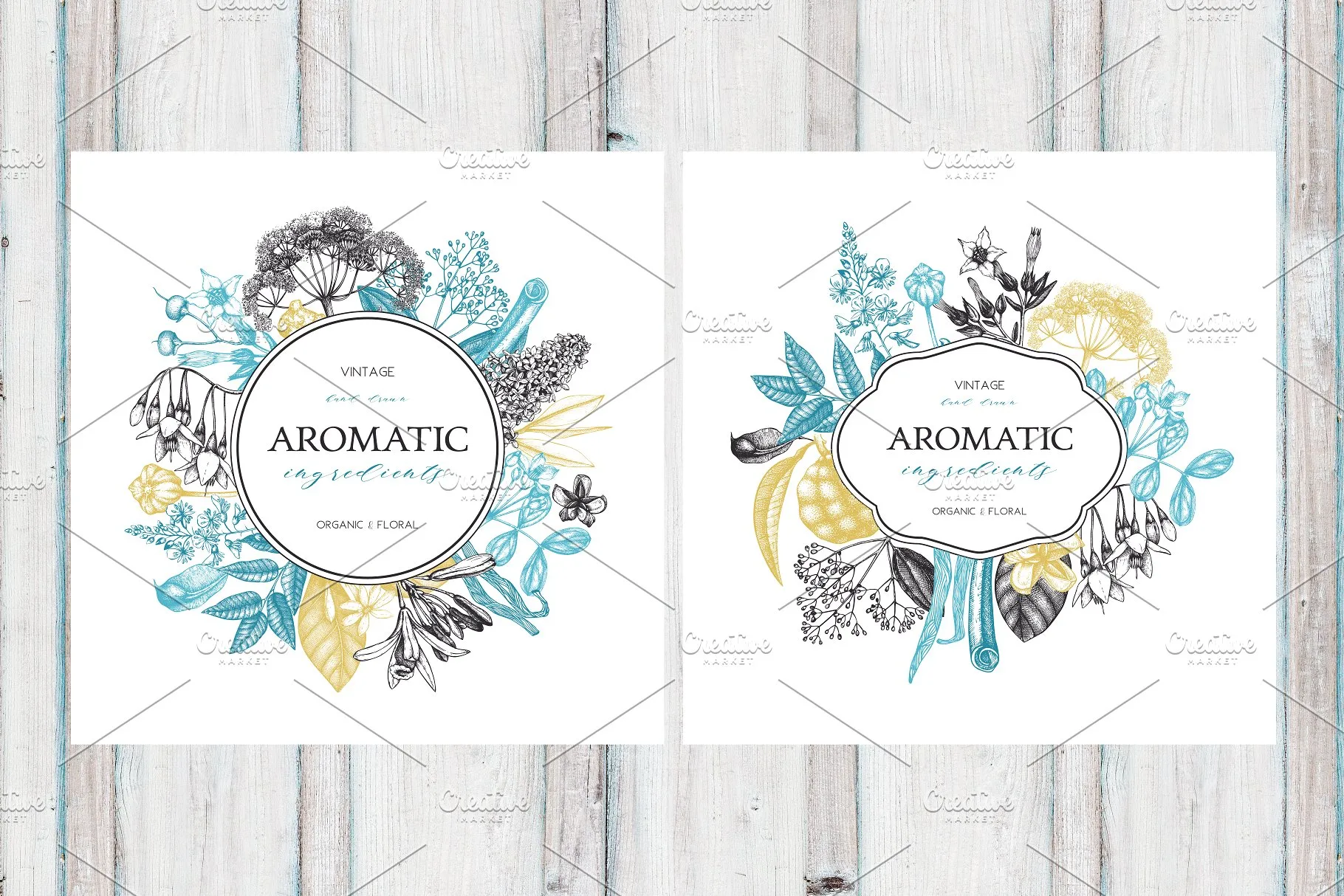 香料和化妆品成分水墨手绘插图集V.2 Perfumery & Cosmetic Ingredients v.2插图(3)