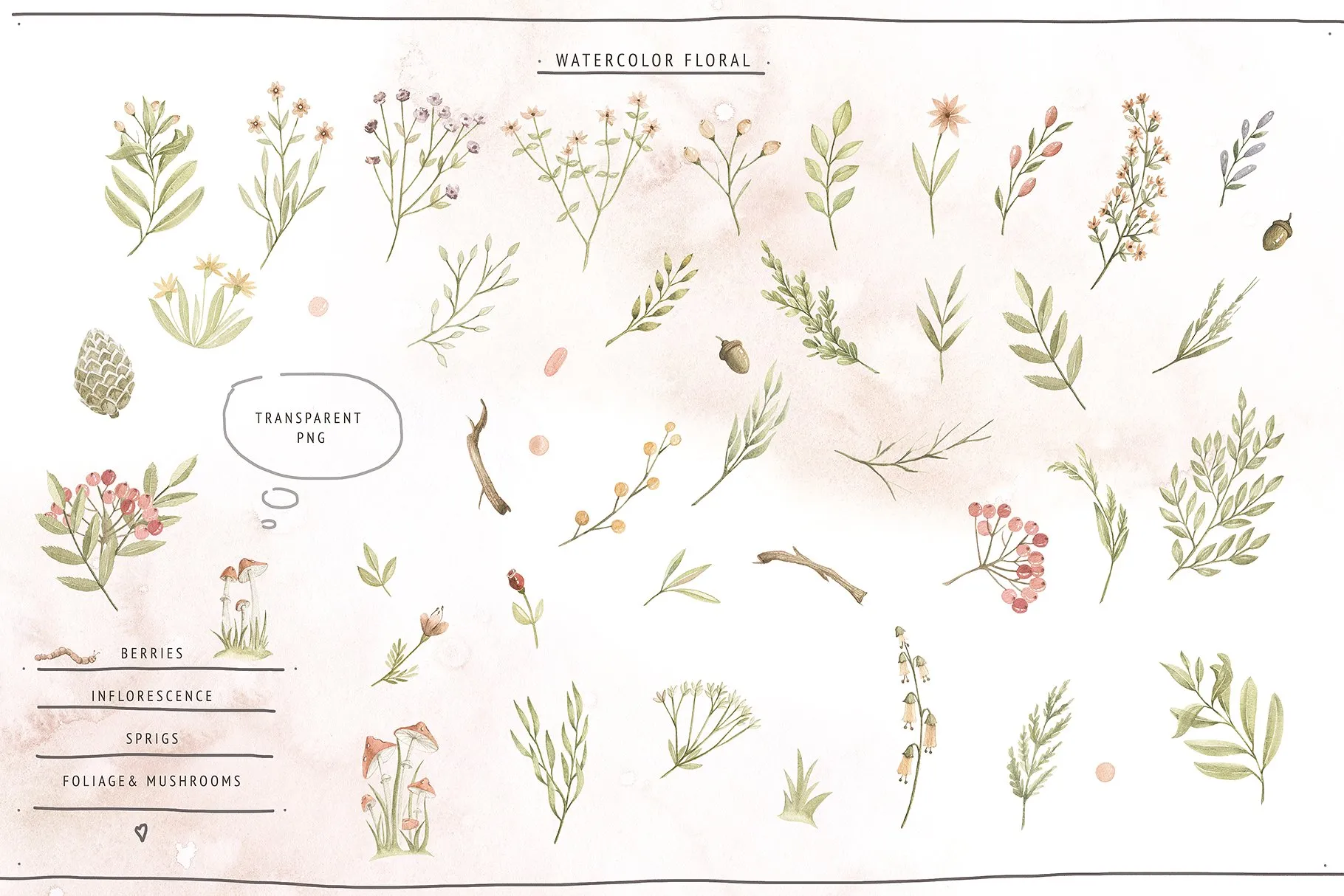 水彩森林动物宝贝水彩插画 Watercolor Forest Baby插图(5)