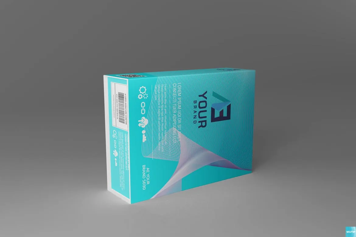 高品质的包装盒子设计VI样机展示模型mockups插图(9)