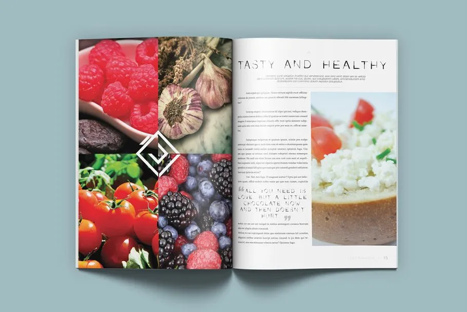 Lemo特效杂志模板 Lemo Magazine插图(4)