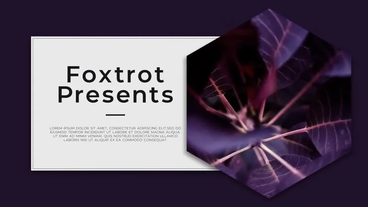 精美专业的幻灯片过渡效果像素设计精选AE模板