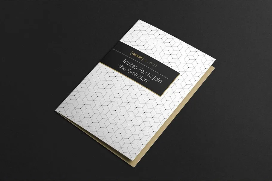 邀请函/贺卡样机模板 Invitation / Greeting Card Mock-Up插图(1)