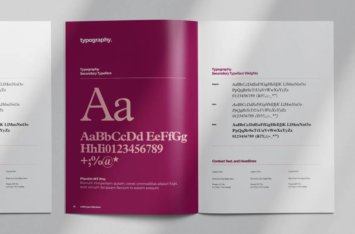 品牌指南/品牌规范手册排版设计模板 Brand Style Guide Layout插图(7)