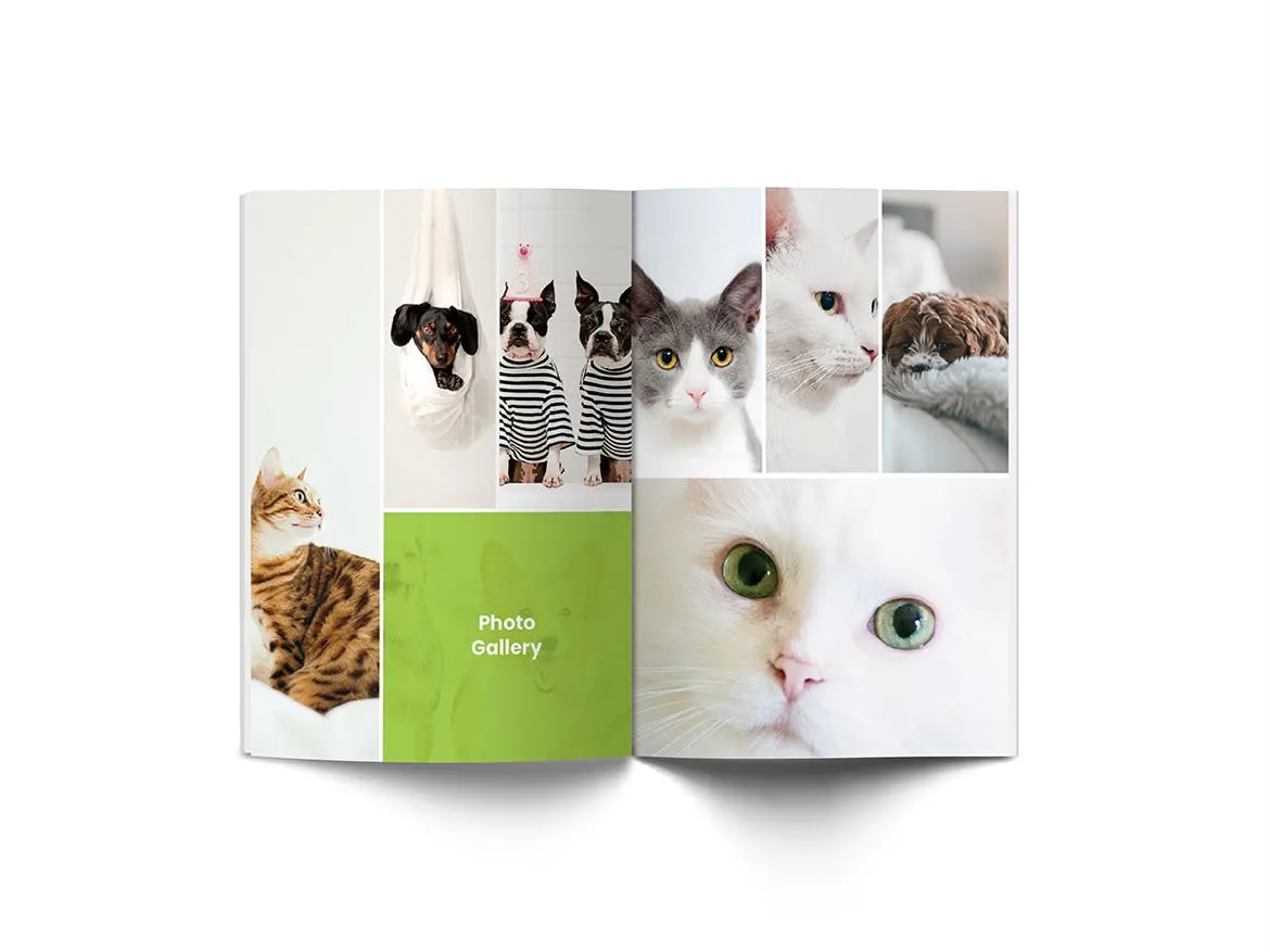 A4纸尺寸宠物医院/宠物店简介画册设计模板 Pet Shop A4 Brochure Template插图(12)
