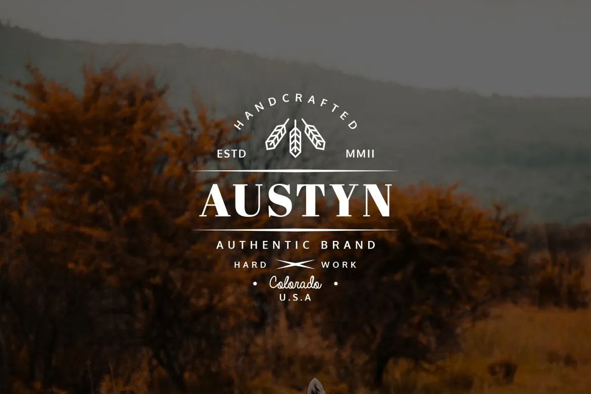 欧美复古设计风格品牌素材库精选LOGO商标模板v27 Vintage Logo & Badge Vol. 27插图(2)