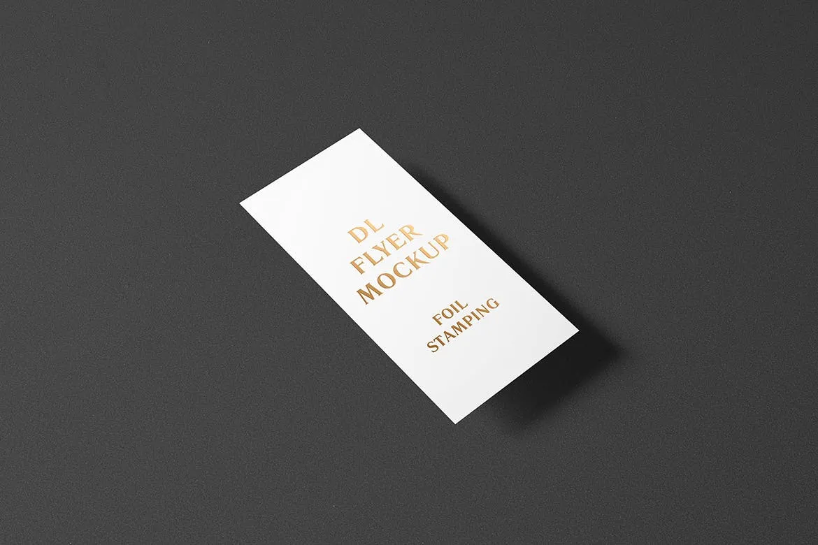 高端逼真质感得DL传单名片铝箔冲压特殊工艺VI样机展示模型mockups插图(4)