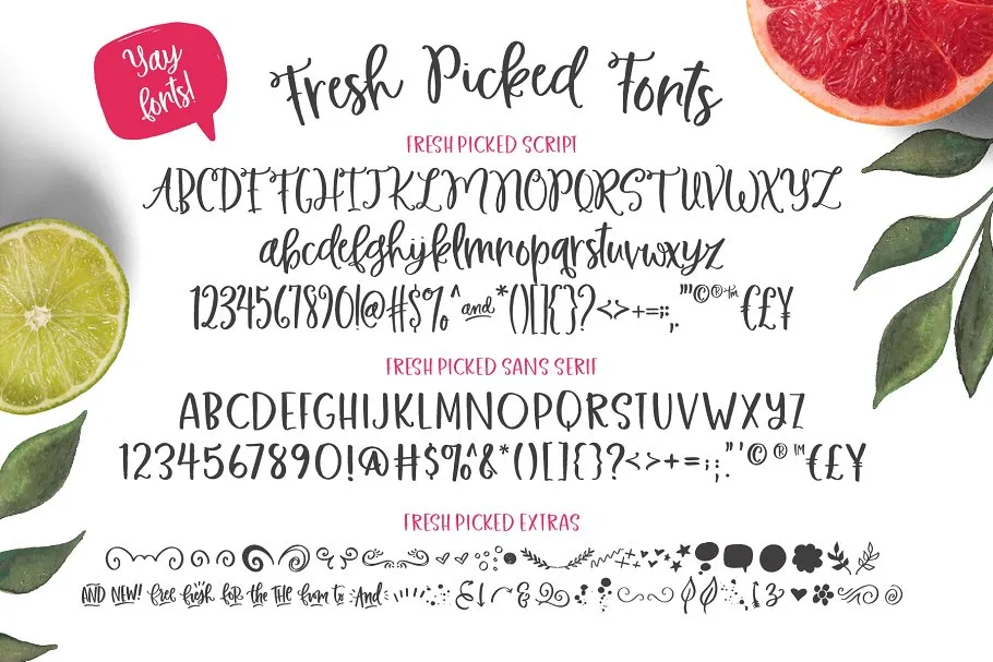 新挑选的水彩素材和字体工具包 Fresh Picked Watercolor & Font Kit插图(3)