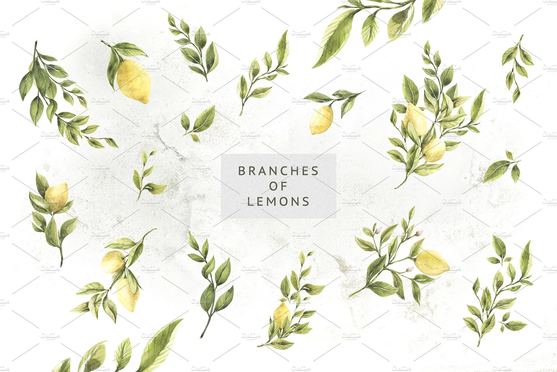 柠檬&绿色枝叶水彩插画 Lemons & Greens插图(2)