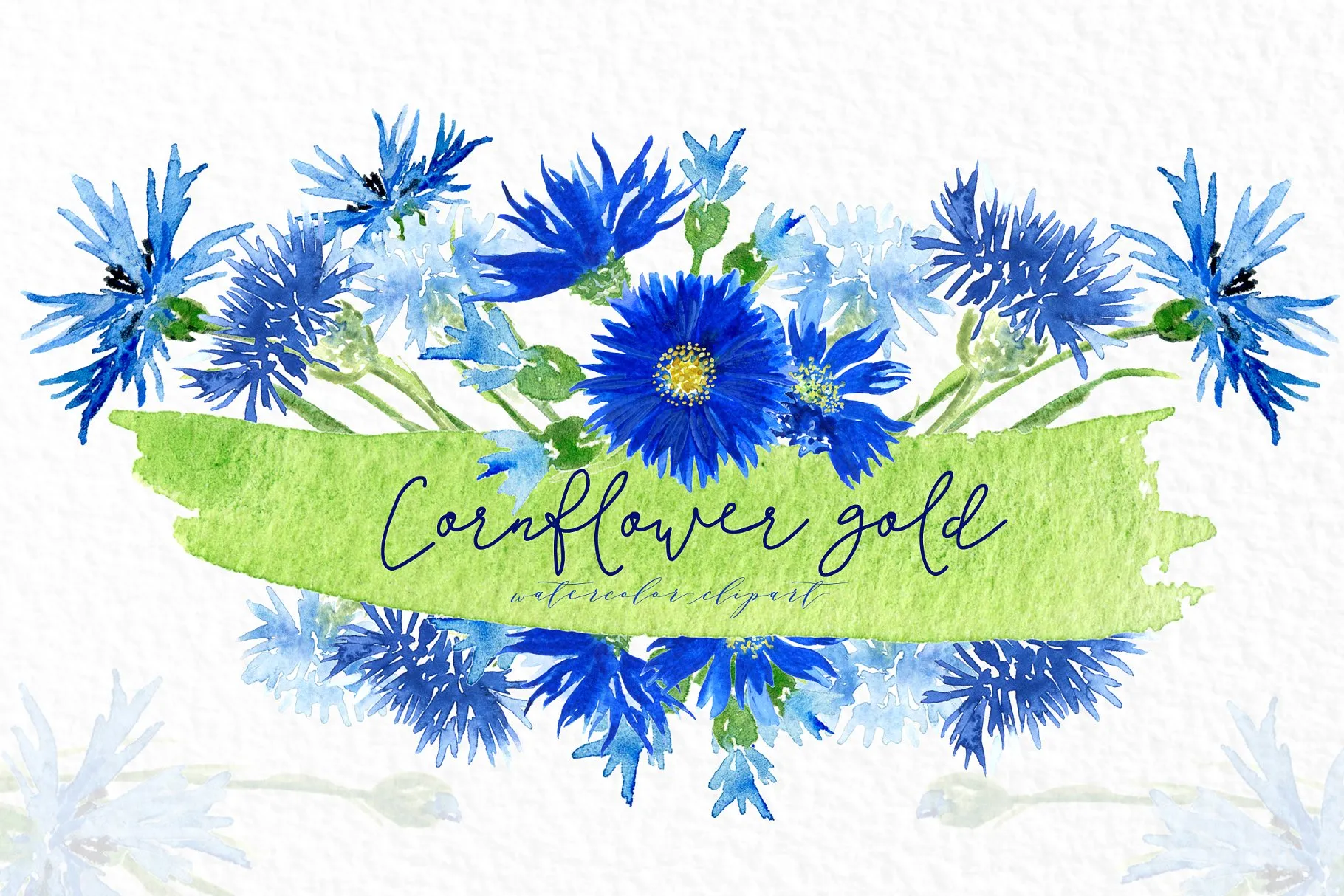 矢车菊amp;金色水彩剪贴画 Cornflowers gold. Watercolor clipart
