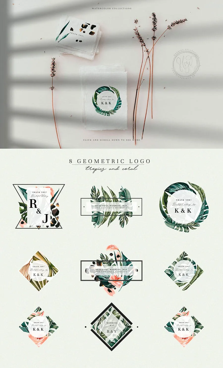 热带植物水彩手绘图案设计素材套装 Tropics & Coral Watercolor Set插图(4)