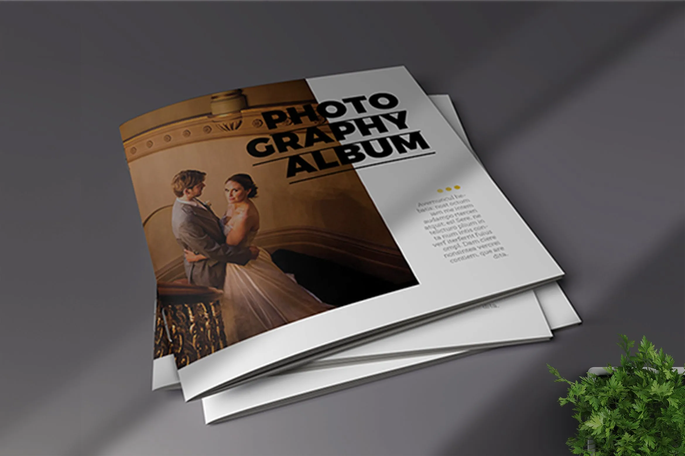 高端摄影作品集画册设计模板 Photography Album插图