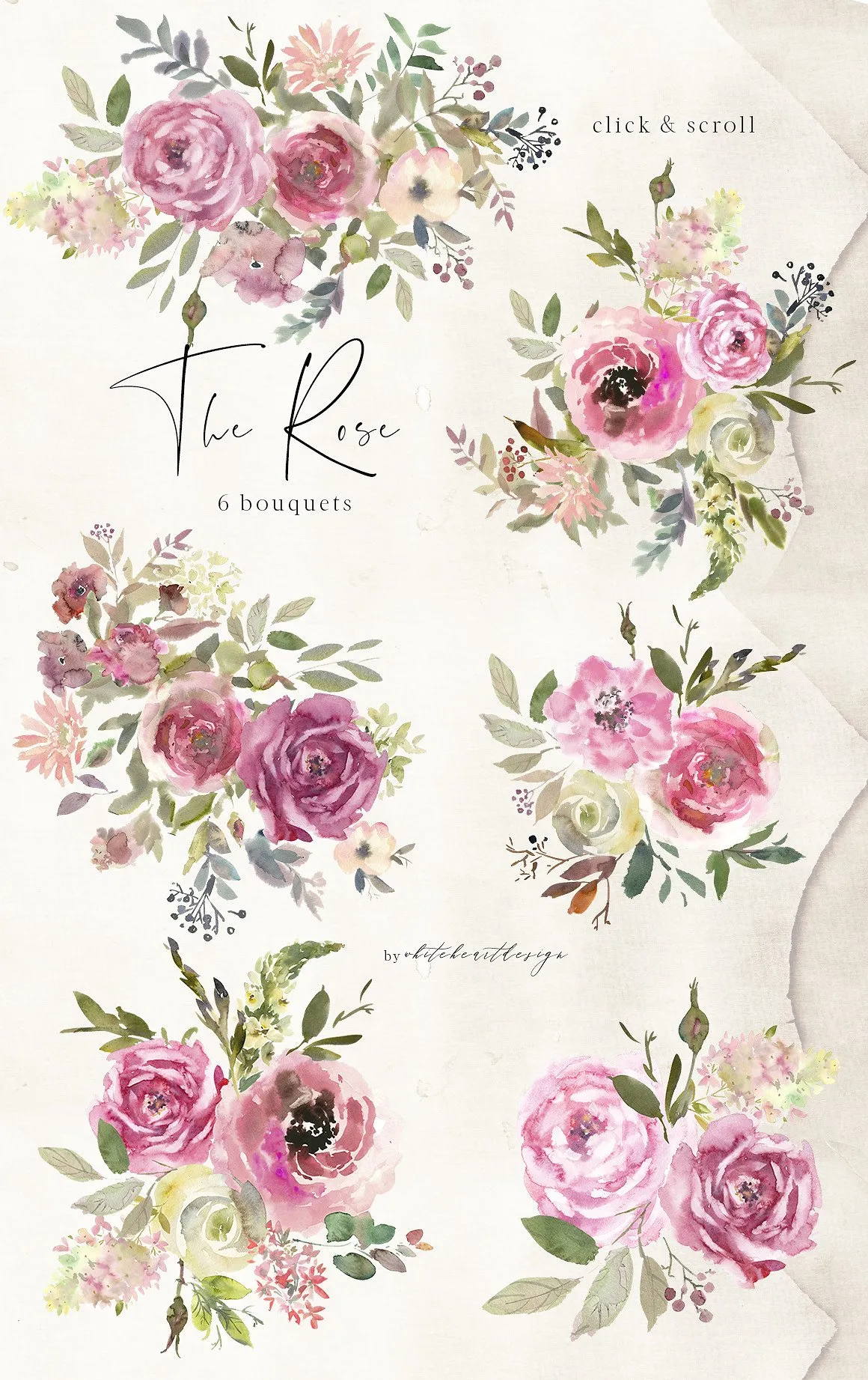 水彩玫瑰花花饰剪贴画 The Rose Watercolor Floral Clipart插图(1)