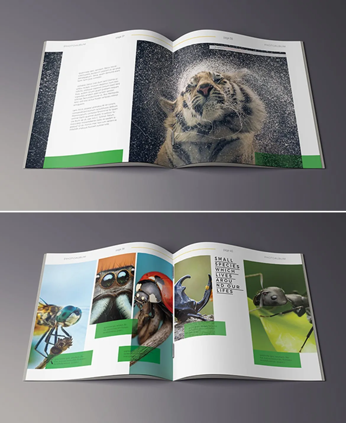 高端摄影作品集画册设计模板 Photography Album插图(11)